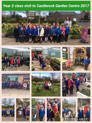 Year 2 Class Visit to Castlerock Garden Centre